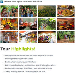 spice-farm tour