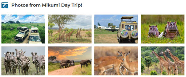 Mikumi National Park